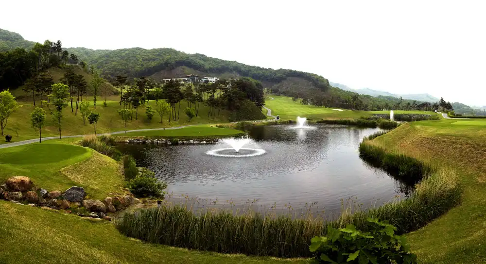 파인 Course