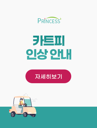 캐디피인상